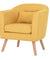 Leisure Armchair Single Couch