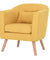 Leisure Armchair Single Couch