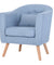 Leisure Armchair Single Couch