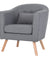 Leisure Armchair Single Couch
